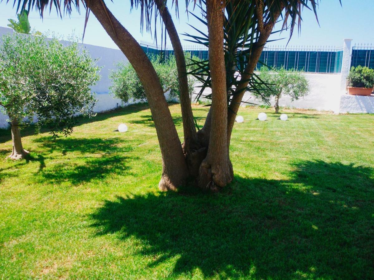 מרסאלה B&B Zagara מראה חיצוני תמונה