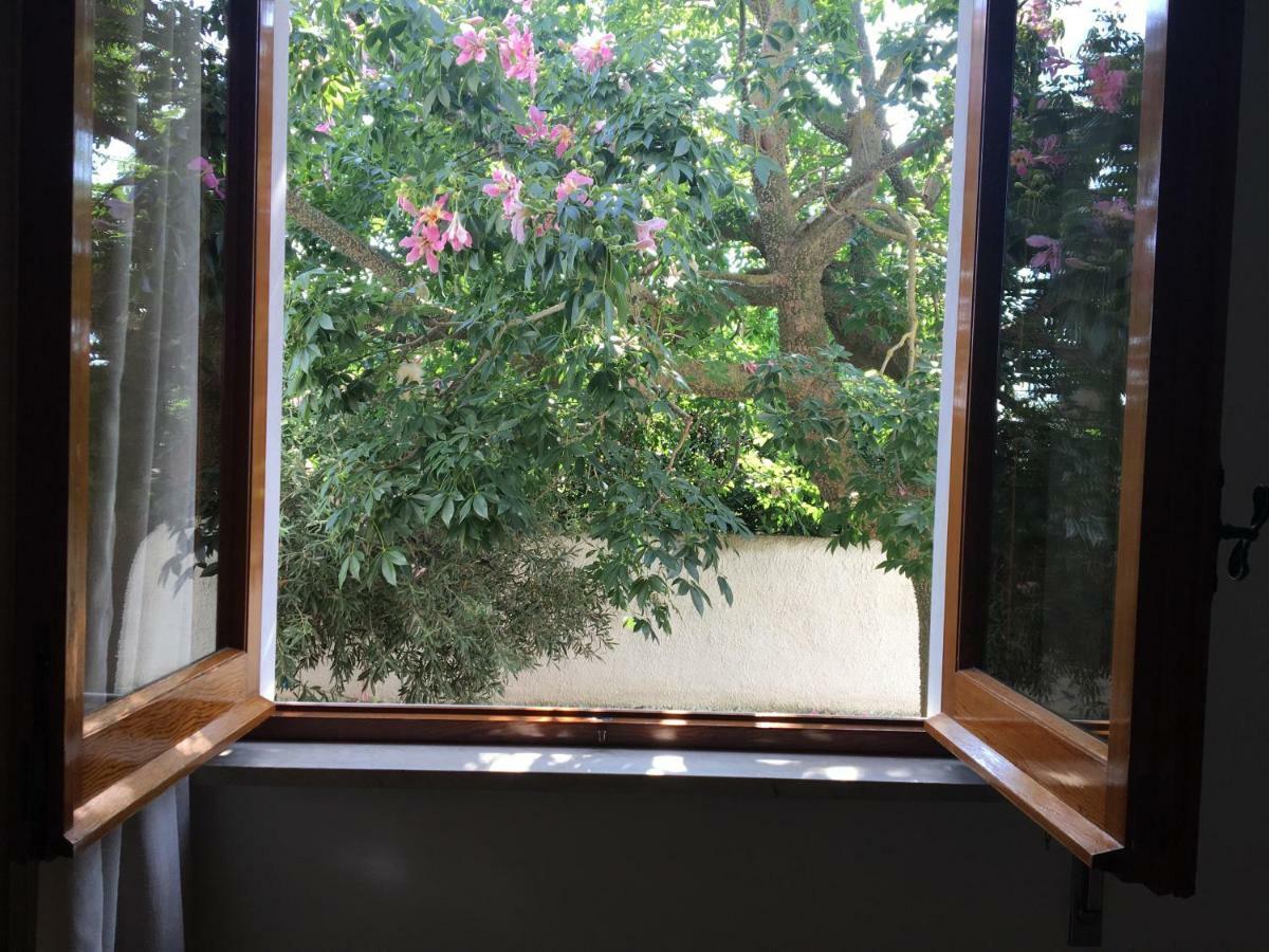 מרסאלה B&B Zagara מראה חיצוני תמונה